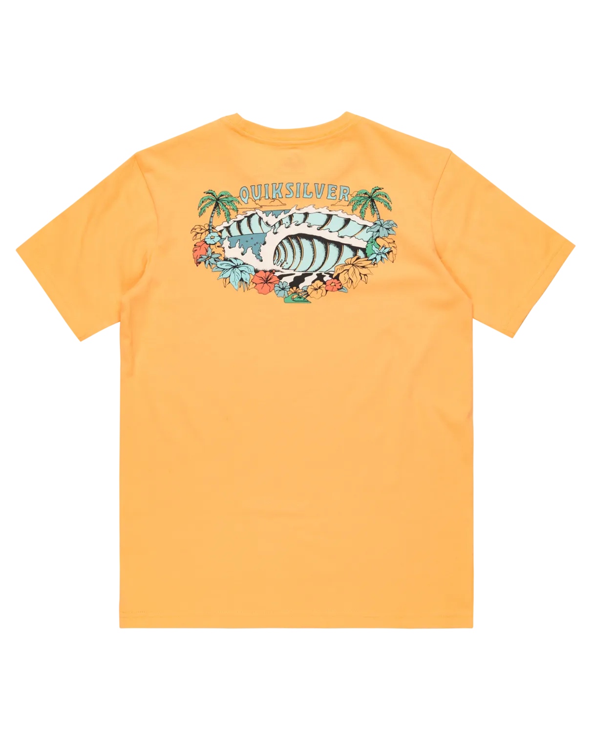 Boys Aqua Wild T-Shirt in Chamois